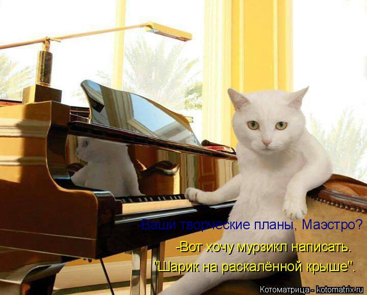 -Вот хочу мурзикл написать. "Шарик на раскалённой крыше". -Ваши творческие планы, Маэстро?... Котоматрица: -Вот хочу мурзикл написать. "Шарик на раскалённой крыше". -Ваши творческие планы, Маэстро?