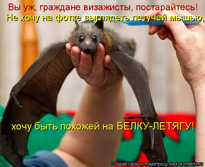 Вы уж, граждане визажисты, постарайтесь! Не хочу на фотке выглядеть летучей мышью, хочу быть похожей ... Котоматрица: Вы уж, граждане визажисты, постарайтесь! Не хочу на фотке выглядеть летучей мышью, хочу быть похожей на БЕЛКУ-ЛЕТЯГУ!