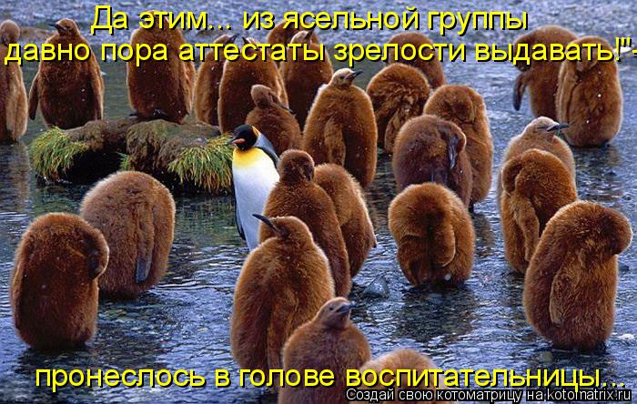 Да этим... из ясельной группы давно пора аттестаты зрелости выдавать!"- пронеслось в голове воспитате... Котоматрица: Да этим... из ясельной группы давно пора аттестаты зрелости выдавать!"- пронеслось в голове воспитательницы...