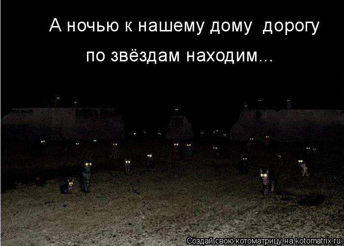 А ночью к нашему дому дорогу по звёздам находим...... Котоматрица: А ночью к нашему дому дорогу по звёздам находим...