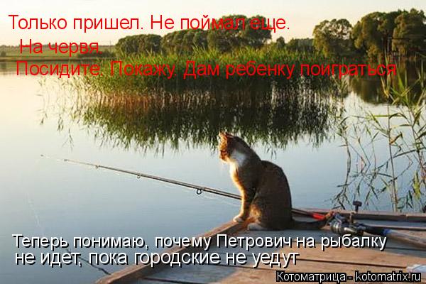 Котоматрица: На червя. Посидите. Покажу. Дам ребенку поиграться Теперь понимаю, почему Петрович на рыбалку не идет, пока городские не уедут Только пришел