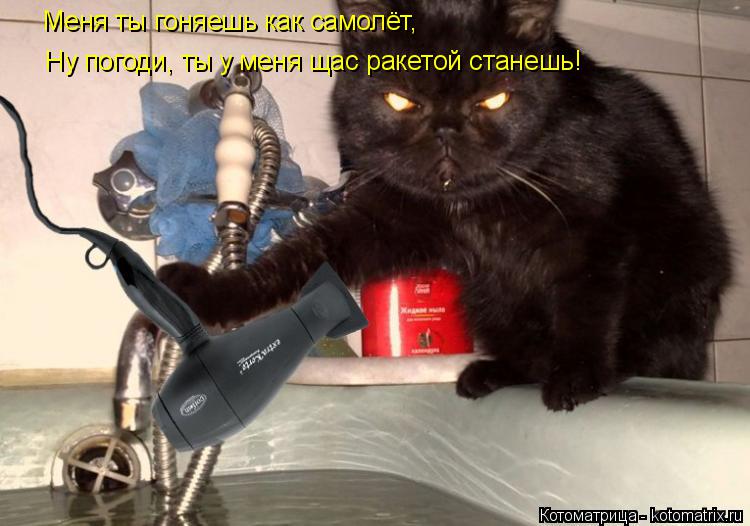 Меня ты гоняешь как самолёт, Ну погоди, ты у меня щас ракетой станешь!... Котоматрица: Меня ты гоняешь как самолёт, Ну погоди, ты у меня щас ракетой станешь!