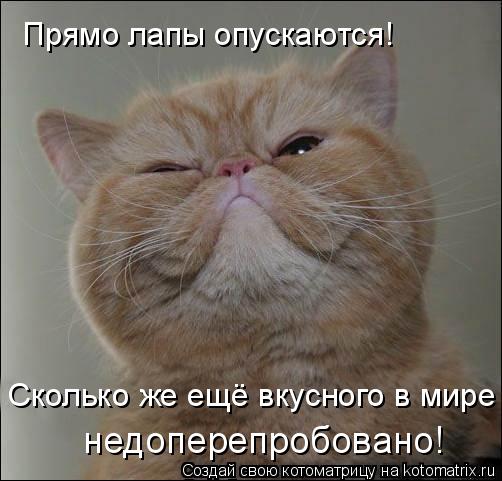 Прямо лапы опускаются! Сколько же ещё вкусного в мире недоперепробовано!... Котоматрица: Прямо лапы опускаются! Сколько же ещё вкусного в мире недоперепробовано!