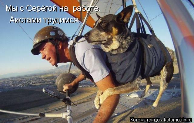 Котоматрица: Мы с Серёгой на  работе. Аистами трудимся.