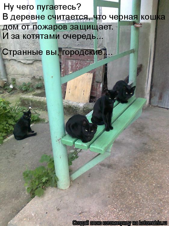Ну чего пугаетесь? В деревне считается, что черная кошка дом от пожаров защищает. Странные вы, город... Котоматрица: Ну чего пугаетесь? В деревне считается, что черная кошка дом от пожаров защищает. Странные вы, городские.... И за котятами очередь...