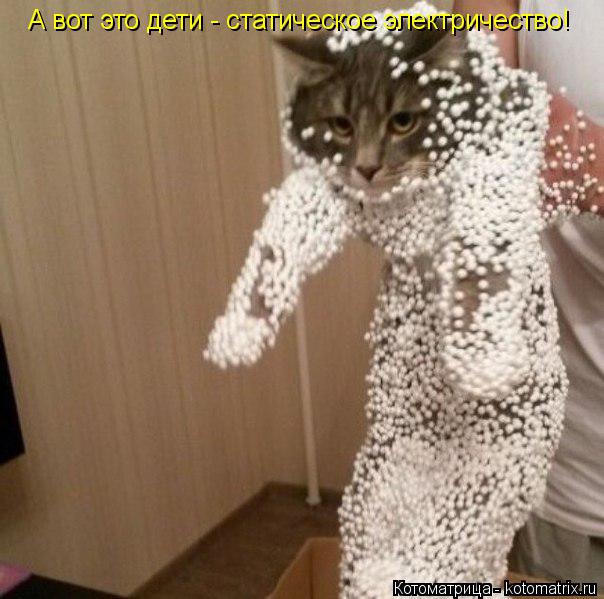 Котоматрица: А вот это дети - статическое электричество!