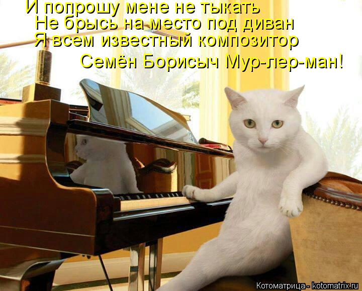 Котоматрица: И попрошу мене не тыкать Не брысь на место под диван Я всем известный композитор Семён Борисыч Мур-лер-ман!