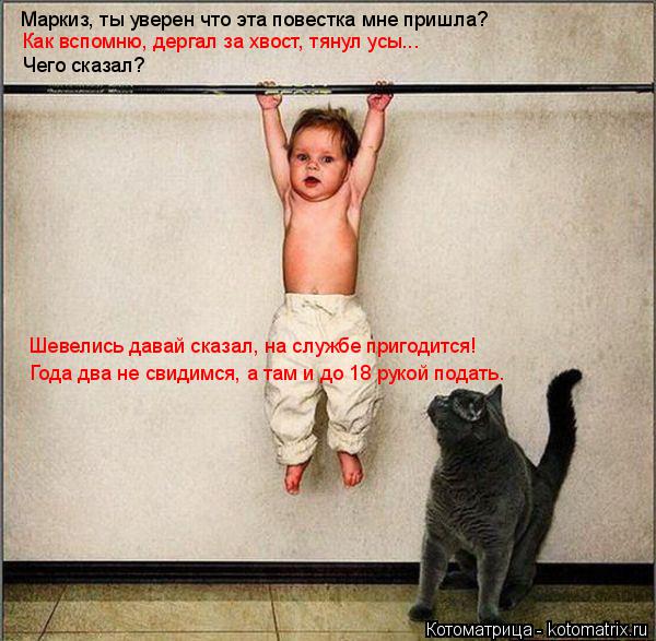 Маркиз, ты уверен что эта повестка мне пришла? Как вспомню, дергал за хвост, тянул усы... Чего сказал... Котоматрица: Маркиз, ты уверен что эта повестка мне пришла? Как вспомню, дергал за хвост, тянул усы... Чего сказал? Шевелись давай сказал, на службе пригоди