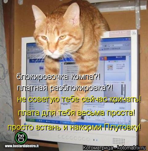 блокировочка компа?! платная разблокировка?! не советую тебе сейчас кричать! плата для тебя весьма п... Котоматрица: блокировочка компа?! платная разблокировка?! не советую тебе сейчас кричать! плата для тебя весьма проста! просто встань и накорми Плутовку