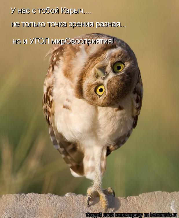 У нас с тобой Карыч.... не только точка зрения разная... но и УГОЛ мирОвосприятия!... Котоматрица: У нас с тобой Карыч.... не только точка зрения разная... но и УГОЛ мирОвосприятия!