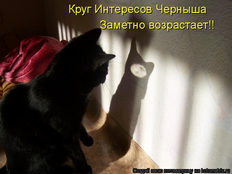 Котоматрица: Круг Интересов Черныша Заметно возрастает!!