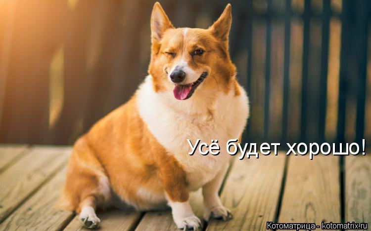 Усё будет хорошо!... Котоматрица: Усё будет хорошо!
