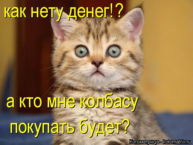 как нету денег! а кто мне колбасу покупать будет? ?... Котоматрица: как нету денег! а кто мне колбасу покупать будет? ?