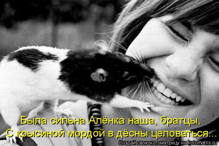 С крысиной мордой в дёсны целоваться... Была сильна Алёнка наша, братцы,... Котоматрица: С крысиной мордой в дёсны целоваться... Была сильна Алёнка наша, братцы,