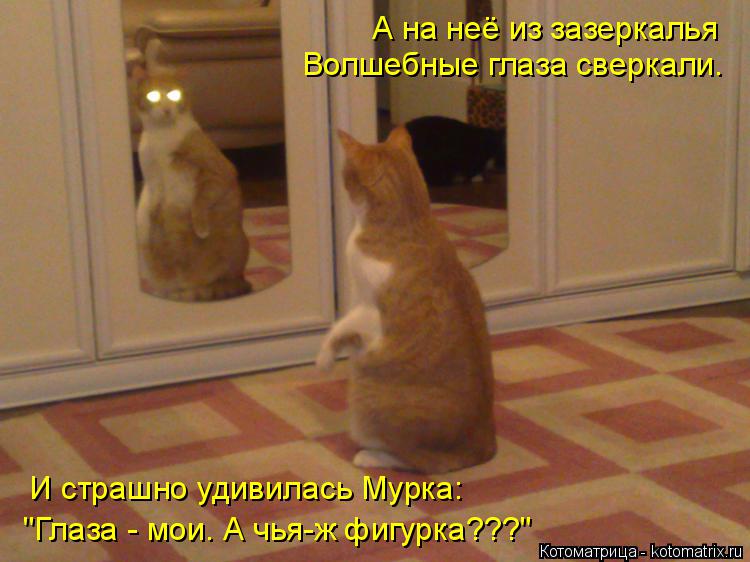 Котоматрица: А на неё из зазеркалья Волшебные глаза сверкали. И страшно удивилась Мурка: "Глаза - мои. А чья-ж фигурка???"