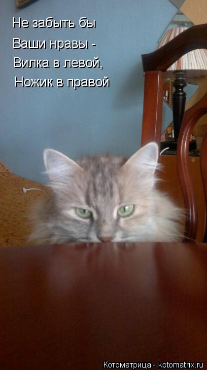 Котоматрица: Не забыть бы Ваши нравы -  Вилка в левой, Ножик в правой
