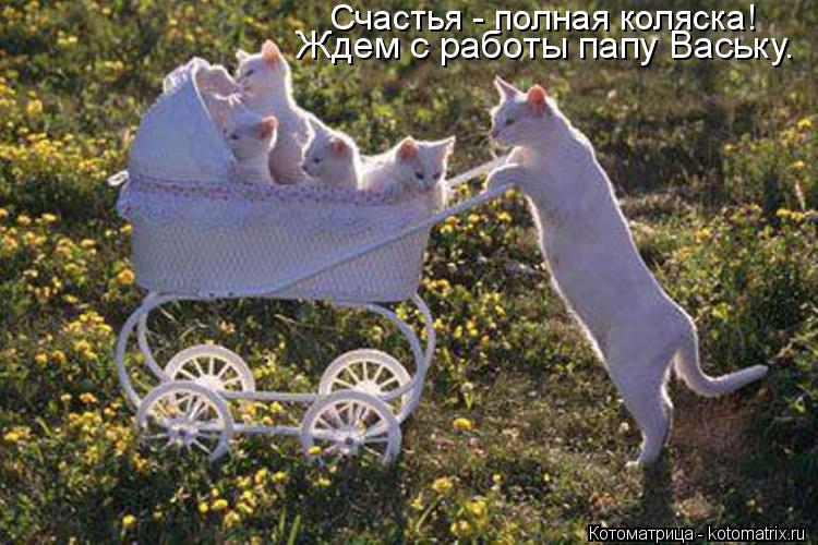Котоматрица: Счастья - полная коляска! Ждем с работы папу Ваську.