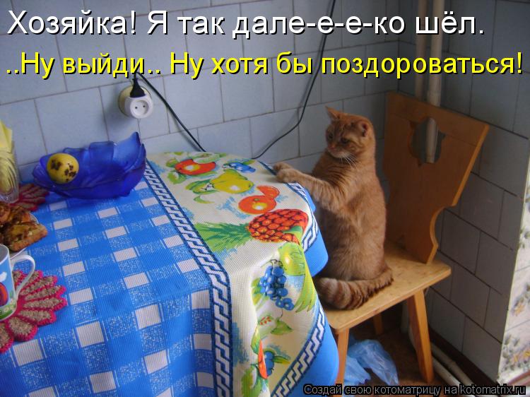 Хозяйка! Я так дале-е-е-ко шёл. ..Ну выйди.. Ну хотя бы поздороваться!... Котоматрица: Хозяйка! Я так дале-е-е-ко шёл. ..Ну выйди.. Ну хотя бы поздороваться!