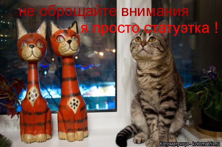 не оброщайте внимания я просто статуэтка !... Котоматрица: не оброщайте внимания я просто статуэтка !