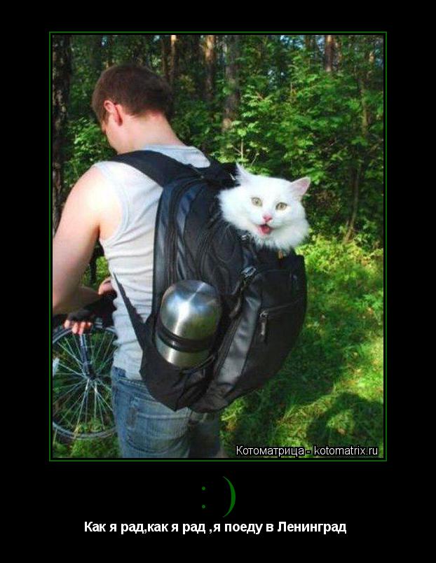 Котоматрица:                         :) Как я рад,как я рад ,я поеду в Ленинград 