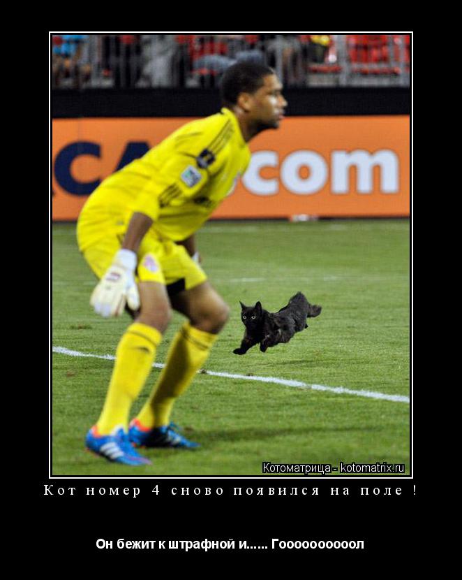 Котоматрица: Кот номер 4 сново появился на поле ! Он бежит к штрафной и...... Гоооооооооол