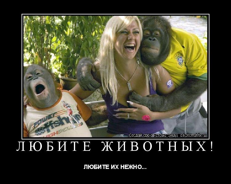 Котоматрица: ЛЮБИТЕ ЖИВОТНЫХ! ЛЮБИТЕ ИХ НЕЖНО...