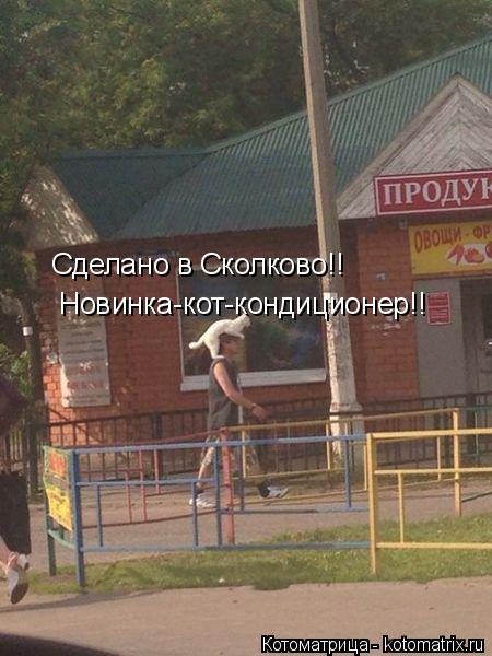 Котоматрица: Новинка-кот-кондиционер!! Сделано в Сколково!!