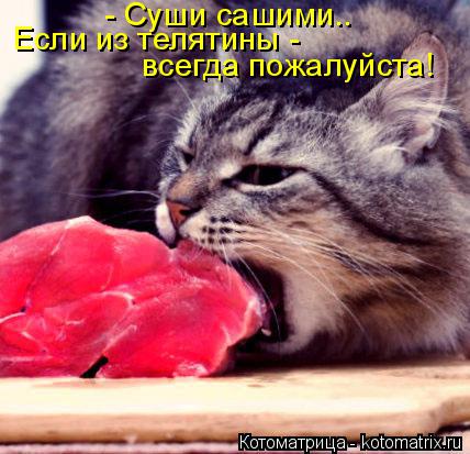Котоматрица: - Суши сашими.. Если из телятины - всегда пожалуйста!