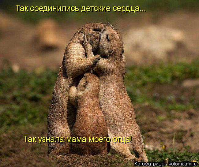 Так соединились детские сердца... Так узнала мама моего отца!... Котоматрица: Так соединились детские сердца... Так узнала мама моего отца!