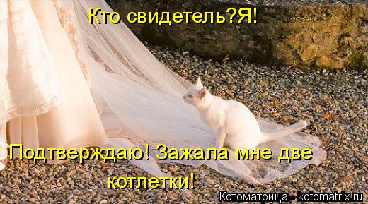 Котоматрица: Кто свидетель?Я! Подтверждаю! Зажала мне две  котлетки!