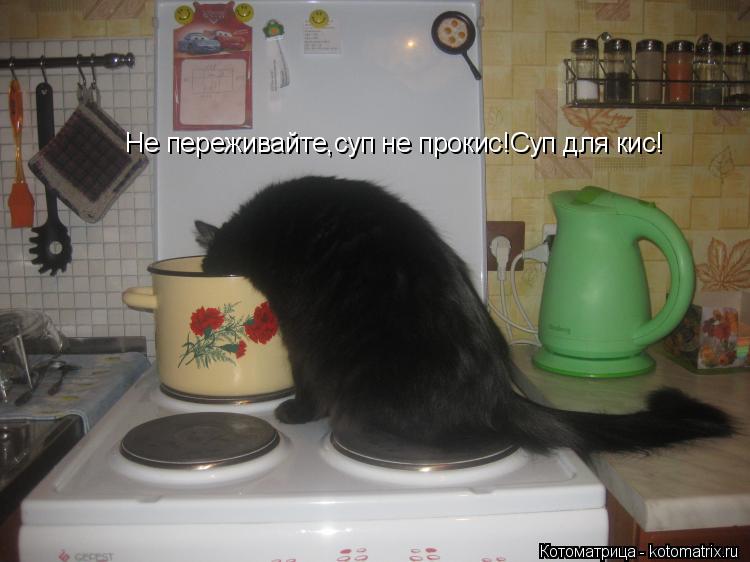 Не переживайте,суп не прокис!Суп для кис!... Котоматрица: Не переживайте,суп не прокис!Суп для кис!