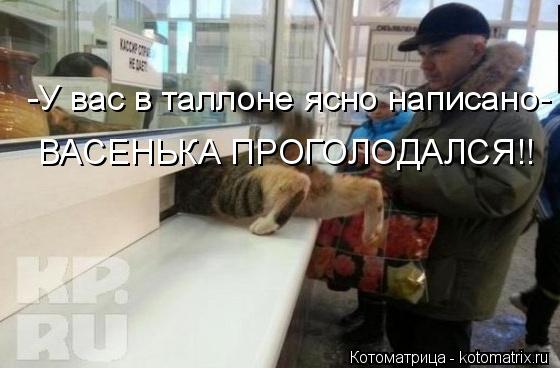 Котоматрица: -У вас в таллоне ясно написано- ВАСЕНЬКА ПРОГОЛОДАЛСЯ!!