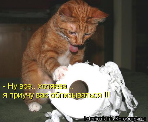 Котоматрица: - Ну все.. хозяева...  я приучу вас облизываться !!!