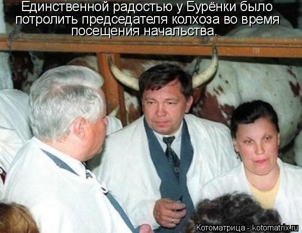 Котоматрица: Единственной радостью у Бурёнки было потролить председателя колхоза во время посещения начальства.