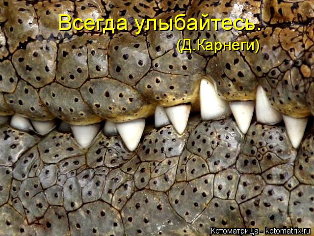 Котоматрица: Всегда улыбайтесь. (Д.Карнеги)