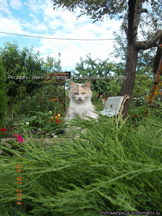 Котоматрица: Рисовать - меня - и  портрет в сенцах повесите? Приду.
