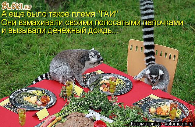 Котоматрица: А еще было такое племя "ГАИ" А еще было такое племя "ГАИ" Они взмахивали своими полосатыми палочками и вызывали денежный дождь...