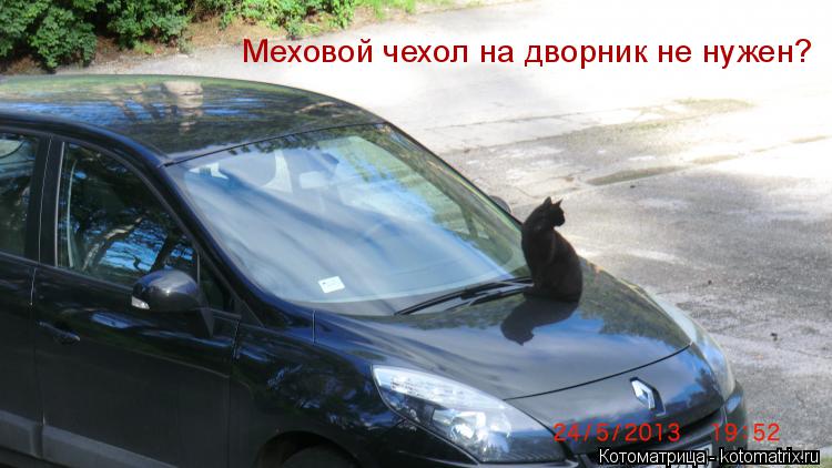Котоматрица: Меховой чехол на дворник не нужен?