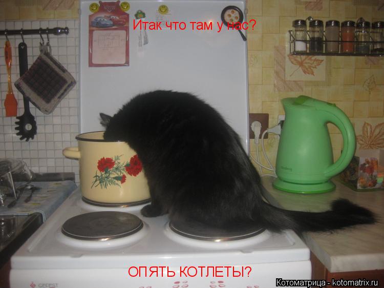 Итак что там у нас? ОПЯТЬ КОТЛЕТЫ?... Котоматрица: Итак что там у нас? ОПЯТЬ КОТЛЕТЫ?