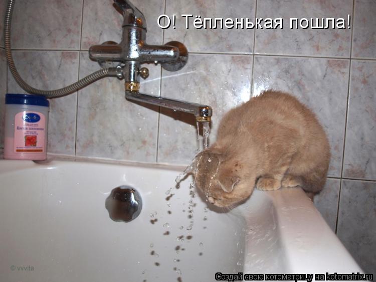 Котоматрица: О! Тёпленькая пошла!