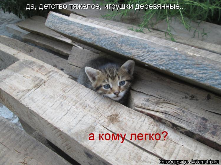 Котоматрица: да, детство тяжелое, игрушки деревянные...  а кому легко?