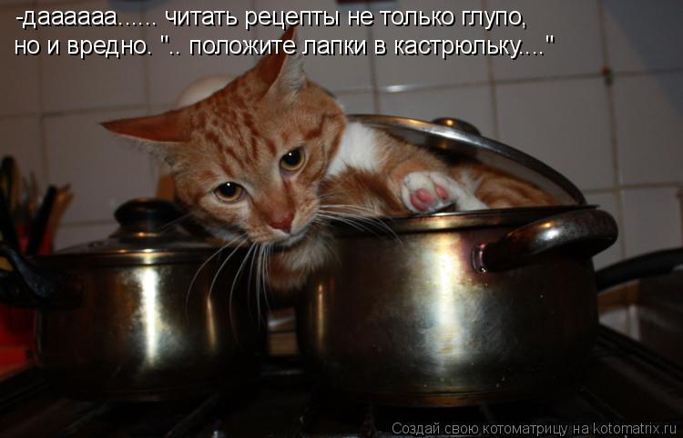 Котоматрица: -даааааа...... читать рецепты не только глупо, но и вредно. ".. положите лапки в кастрюльку...."