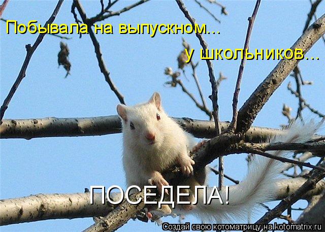 Котоматрица: ПОСЕДЕЛА! Побывала на выпускном... у школьников...
