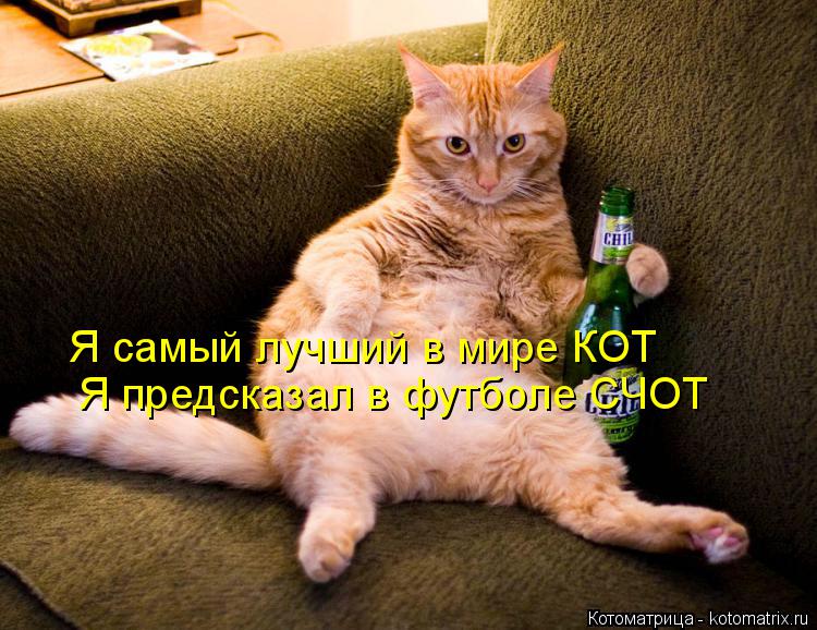 Котоматрица: Я самый лучший в мире КОТ Я предсказал в футболе СЧОТ
