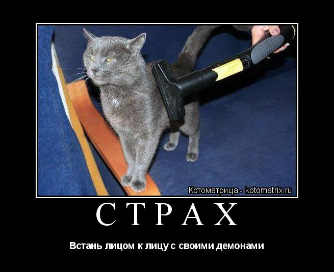 Котоматрица: СТРАХ Встань лицом к лицу с своими демонами