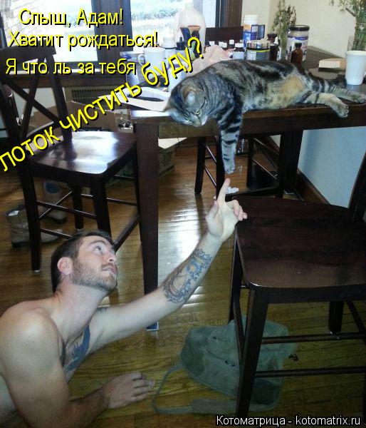Котоматрица: Слыш, Адам!  Хватит рождаться! Я что ль за тебя лоток чистить буду?