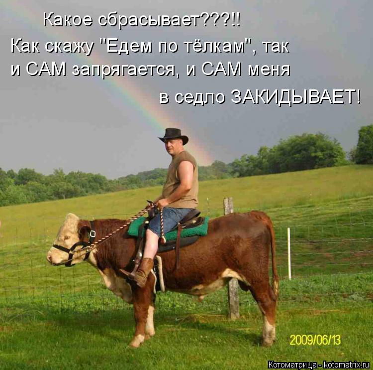Котоматрица: Какое сбрасывает???!! Как скажу "Едем по тёлкам", так и САМ запрягается, и САМ меня в седло ЗАКИДЫВАЕТ!