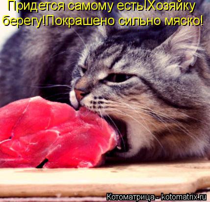 Котоматрица: Придется самому есть!Хозяйку берегу!Покрашено сильно мяско!