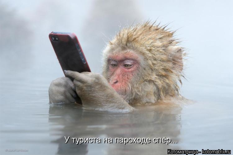 Котоматрица: У туриста на пароходе спёр...