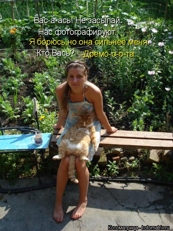 Котоматрица: Вас-а-ась! Не засыпай.  Нас фотографируют. Я борюсь,но она сильнее меня. Кто,Вась? -Дремо-о-о-та.